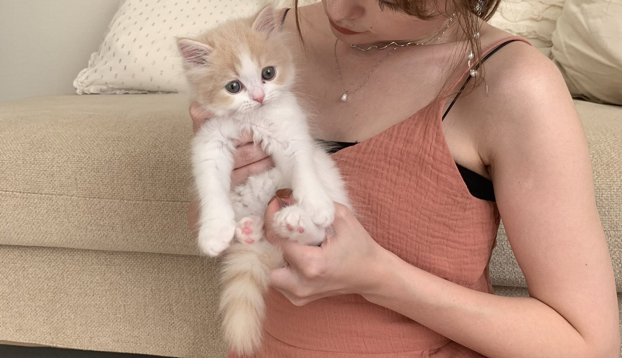 猫のこなつくん 最初はこんなに小さかった 良かったら初めてお家にきた日の動画も見てください T Co Zavyq8rore 生後2ヶ月 猫 T Co Dfl7gga9qf Twitter