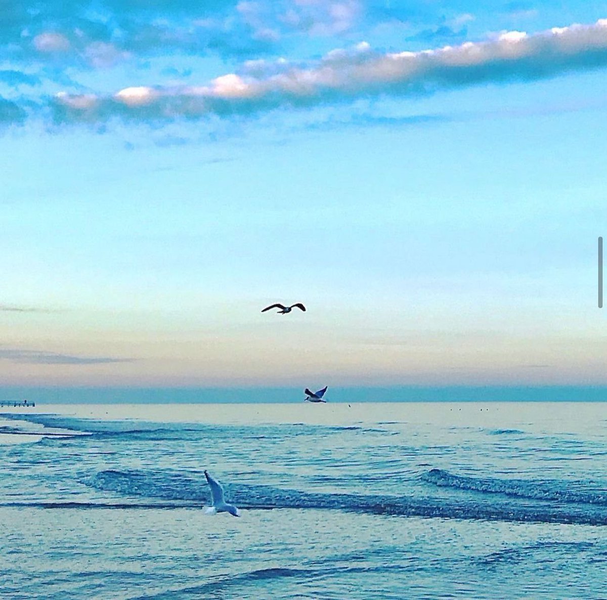 blubaisrl's tweet photo. Buona #GiornataNazionaleDelMare dalle nostre meravigliose spiagge romagnole!🌊

Per ricordarci dell’importanza vitale di salvaguardare questo immenso patrimonio naturale e di promuoverne la conoscenza e il rispetto!💙🙏💧

#BlubaiGREEN #UNESCO #SaveThePlanet #NoPlanetB #SeaLovers https://t.co/MiHzB6OUbh