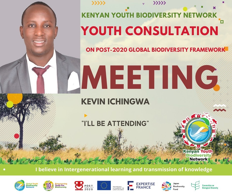 Yet another opportunity to air out the voice of fellow youths
@GYBN_Kenya
#KenyanYouth4Biodiversity #BiodiversityNeedsYouTH  #IAmGYBN