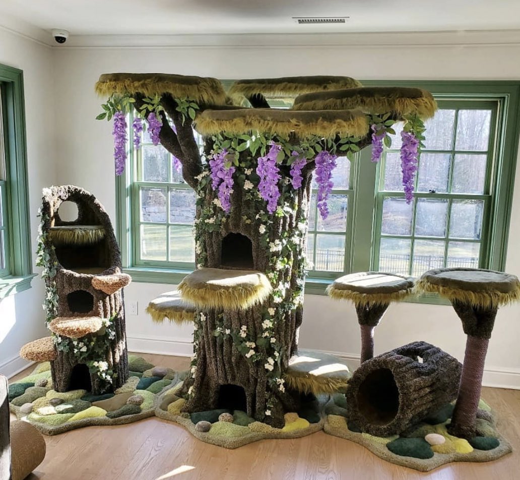 hollywood kitty condo