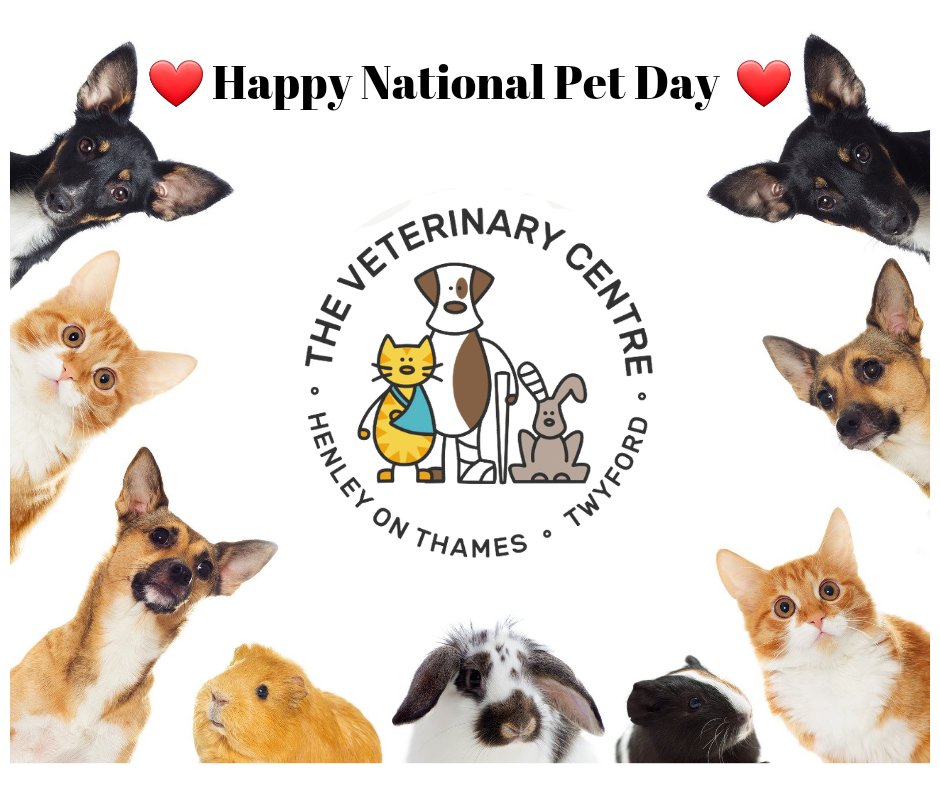 henleyvets's tweet photo. It's National Pet Day! We'd love you to help us celebrate by sharing your favourite pet pics with us β€.
All pets great and small welcome β€.
#NationalPetDay #nationalpetday2021 #localvets #localveterinarypractice #pets https://t.co/EVNjM7DOaU