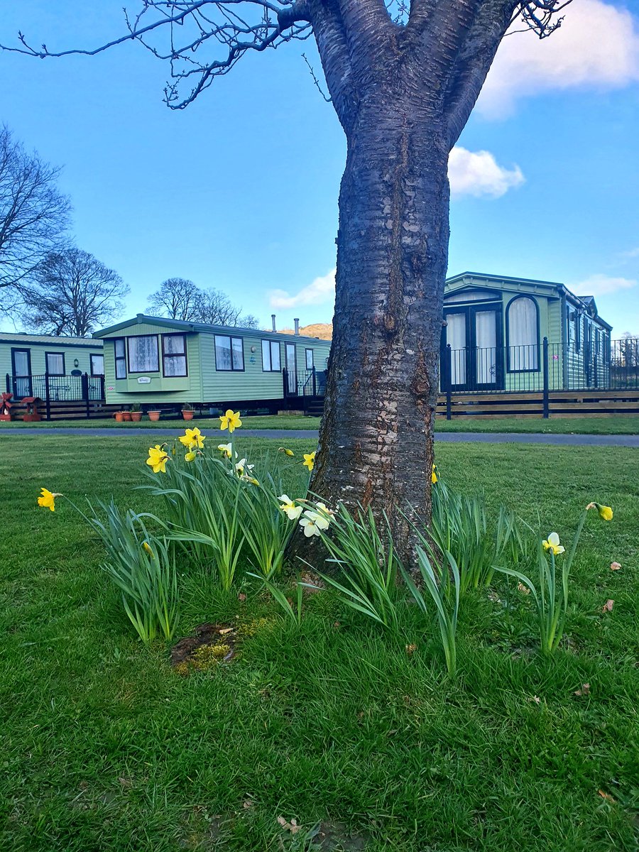 After a very long winter we look forward to welcoming our Tanat Holiday Home Owners back to the park tomorrow 😁 #Wales #England #staycation #caravan #fishing #family #llanymynech