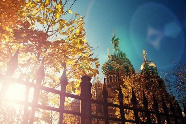 Все испытания очень важны. Они меняют человека всё больше и больше. Чем чернее мрак в твоей жизни, тем лучше ты потом различаешь свет. Понимаешь, что это свет, и умеешь ценить его. 
 
Иеромонах Филофей (Тифинюк)