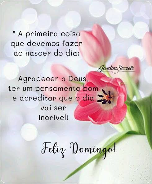 SAMPAIO🇧🇷🇧🇷🇧🇷BOLSONARO CAPITÃO DO POVO - 22 в Twitter: „Bom dia, aos verdadeiros seguidores apoiadores do Presidente Jair Messias Bolsonaro. Santo dia. Feliz Domingo! Deus abençoe seu dia e te dê muita paz! SAMPAIO🇧🇷🇧🇷🇧🇷BOLSONARO CAPITÃO DO POVO - 22 в Twitter: „Bom dia, aos verdadeiros seguidores apoiadores do Presidente Jair Messias Bolsonaro. Santo dia. Feliz Domingo! Deus abençoe seu dia e te dê muita paz!