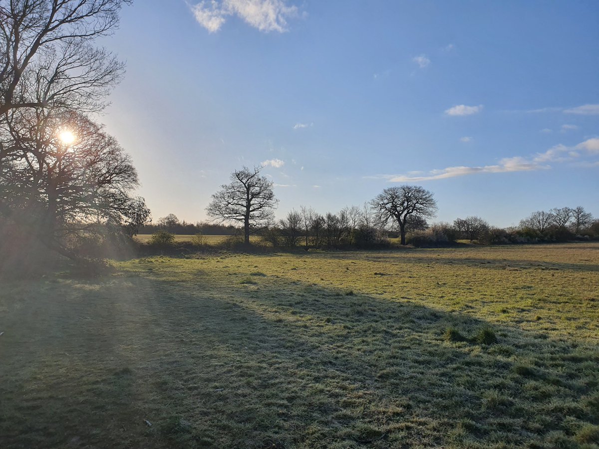 itisgregory's tweet image. 6am walks hitting different