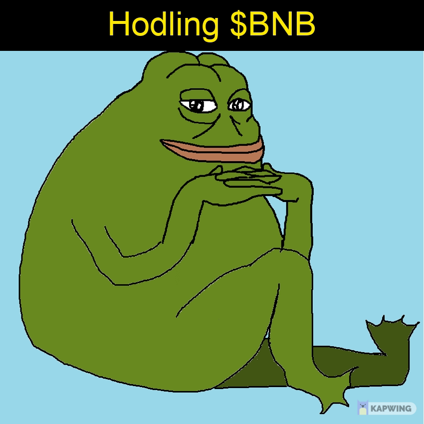 MakMimi's tweet photo. #BNB #Binance https://t.co/VGqlNJky48