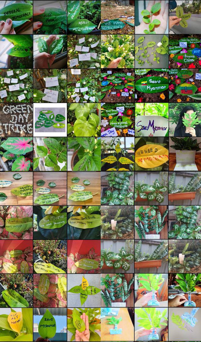Dictatorship will fall like old leaves and the new leaf representing democracy of Myanmar is on its way. 
We do #GreenDayStrike by writing letters on green leaves rallying against the military dictatorship
#WhatsHappeningInMyanmar
#Apr11Coup
