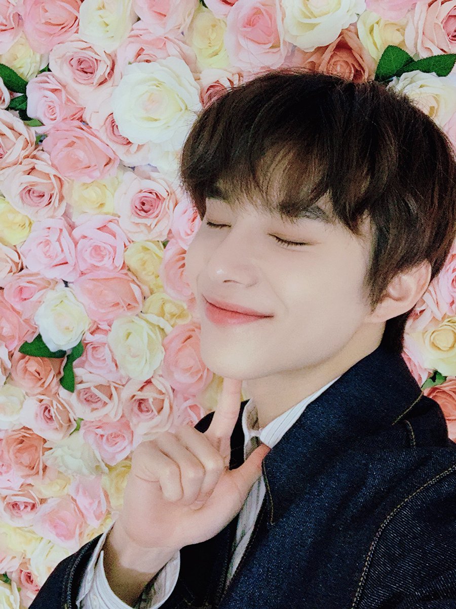 allofzeus's tweet photo. 핫도그 정우 ㅠㅠㅠ https://t.co/tfAk8mnrWX