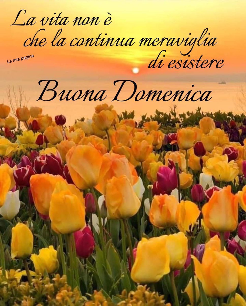 Isc39765370's tweet photo. #Buongiorno https://t.co/15gXJddvmB