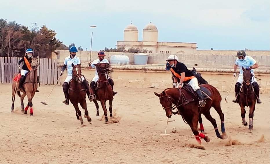 We rebranded the club this year! We are now Island Polo Club (formally Malta Arena Polo) #poloponies #polo #malta #poloplayers #discovermalta