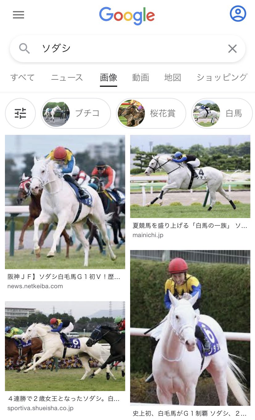 トンカチ ソダシは ソダーシーザーみたいな名前の略称かと思いきや 本名がソダシだった ゴルシってお馬 さんのエピソードめっちゃ流れてくるけどぜんぶ面白いなあと思ってたら本名はゴールドシップだった のとは逆パターンの衝撃