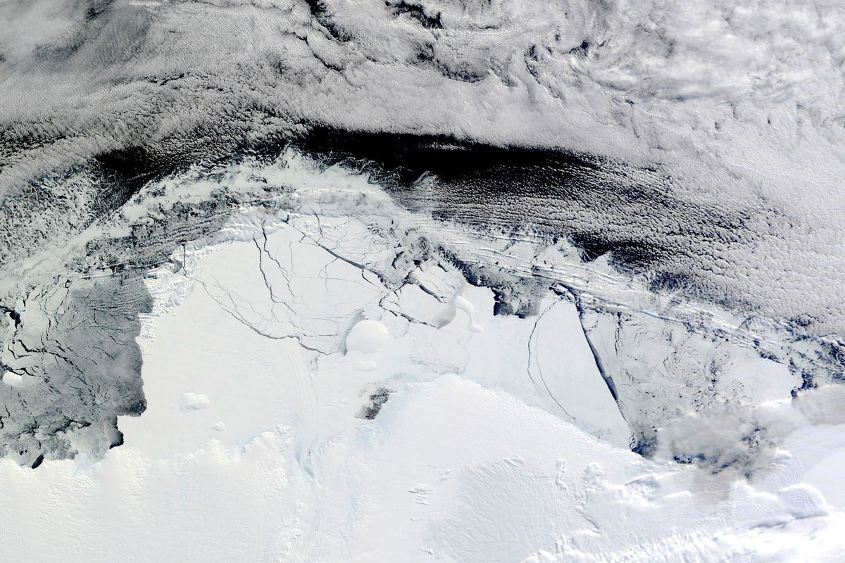 Carbon Brief tweet media