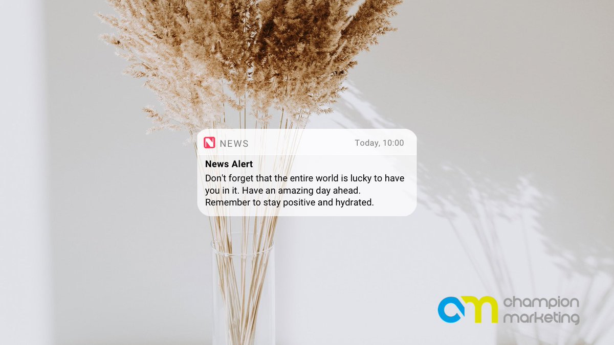 A gentle reminder...

#sundayvibes #SundayMorning #PositiveVibes