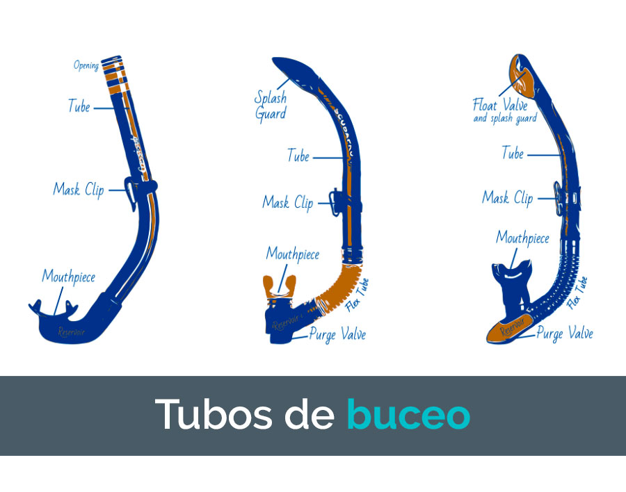 VidaBuceo's tweet photo. Mejores tubos de buceo en 2021 https://t.co/3IVZ59Z6hi https://t.co/nae7Qyf2SG