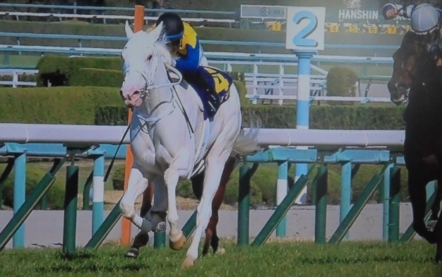 今日が終わりの始まりの日 吉田隼人の三歳牡馬牝馬3冠騎乗歴 12年桜花賞 マイネエポナ13着 12年オークス マイネエポナ17着 12年菊花賞 フェデラルホール8着 14年菊花賞 ゴールドアクター3着 15年桜花賞 トーセンラーク17着 16年皐月賞
