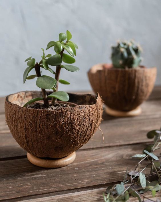 Sonia.Gurnani على تويتر: "5) Coconut Shell Handicrafts Coconuts are one of  the most abundantly occurring natural products .Coconut shell craft  products like bowls, vases, tea pots & toys. Other products include lamp