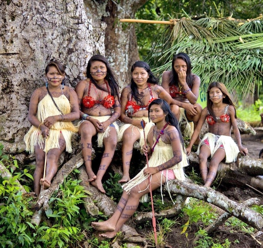 пираха мисс. амазонки австралии. амазонки австралии. эквадор ваорани племя ваорани. племя явалапити.