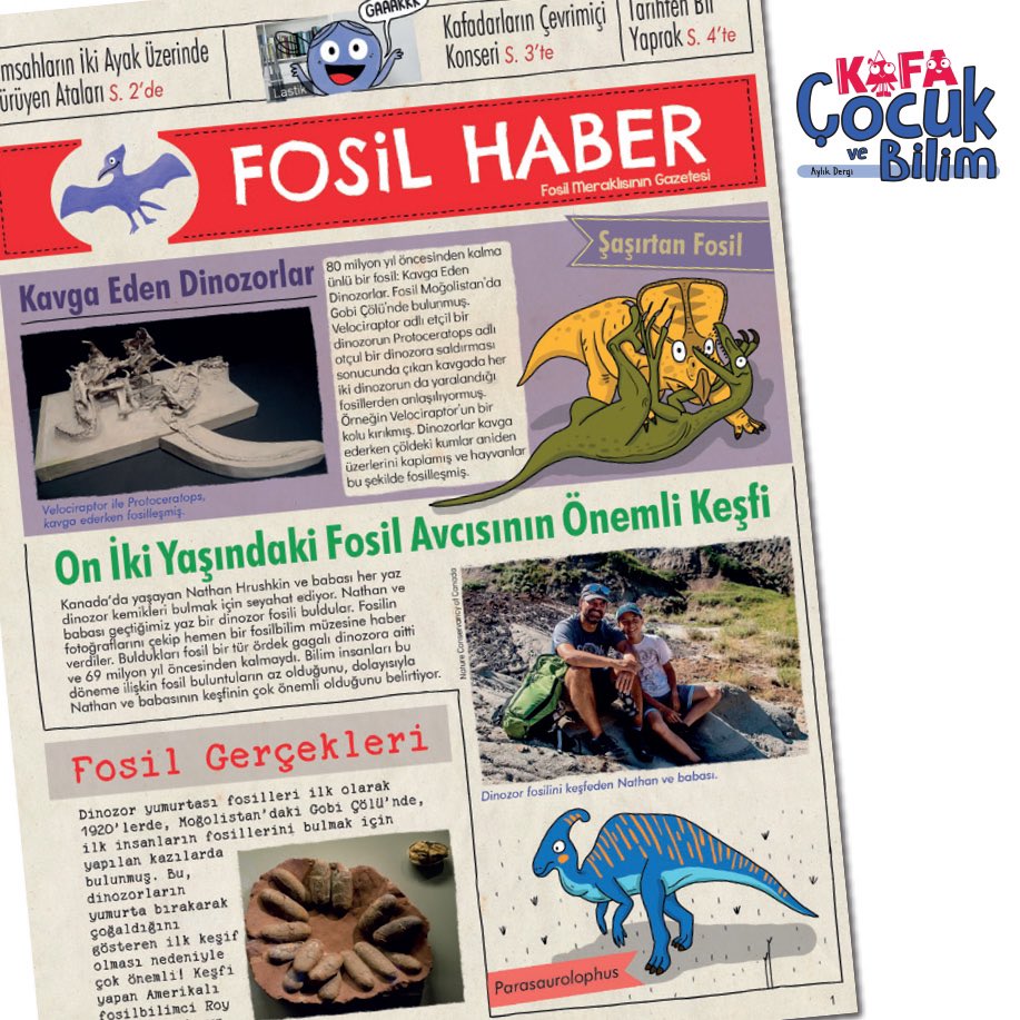 kafacocukbilim's tweet photo. KAFA Çocuk ve Bilim’in Mart-Nisan sayısında fosil meraklıları için bir gazete de hazırladık. Fosil Haber adlı bu gazetede fosillerle ilgili birbirinden ilginç haberler bulabilirsin. #kafaçocukvebilim #fosiller #fosilbilim #dinozorlarzamanı #fosilgazetesi https://t.co/5scXqFHip2