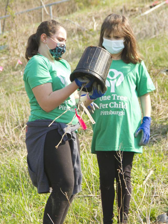 One Tree Per Child tweet media