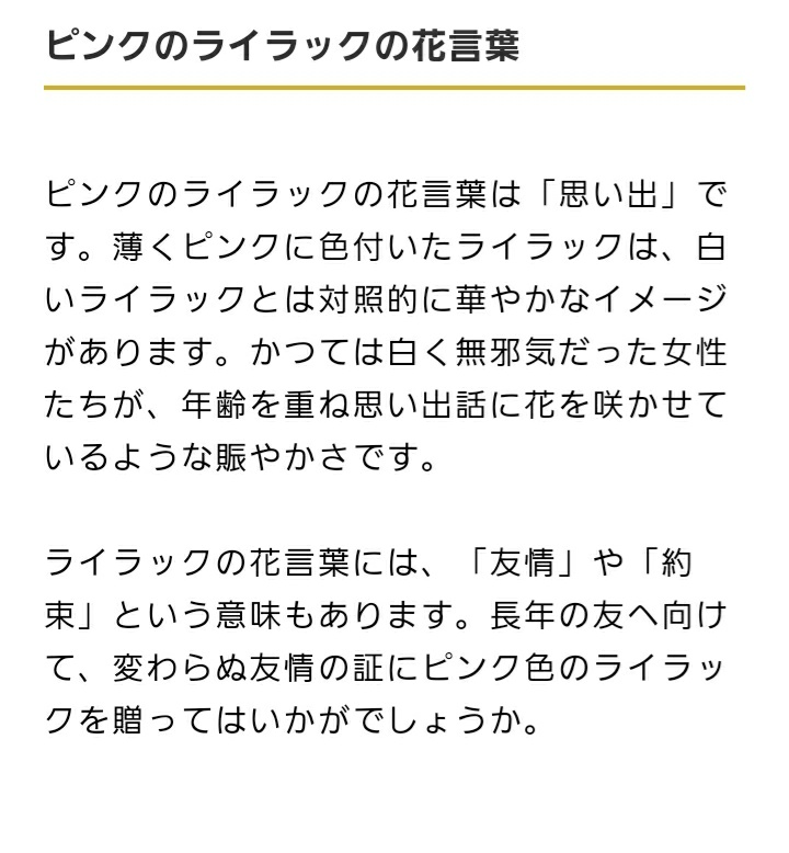 ライラモン Twitter Search