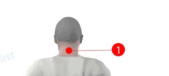 تابع اجابه سؤال امس
1- المنطقه رقم 1
آلام الرقبة
 منطقة الرقبة من أضعف مناطق العمود الفقرى وأكثرهم عرضة للإصابة
يعتبر الإجهاد العضلى والبعد عن الرياضة هو أكثر الأسباب الأكثر شيوعا
تسبب المفاصل العلوية من الرقبة نوع شهير من الصداع بالراس
يعتبر الإنزلاق الغضروفى أحد الأسباب ايضاً