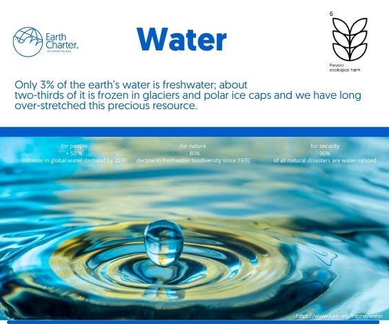 earthcharter's tweet image. #turningconscienceintoaction #WaterIsLife #ethics