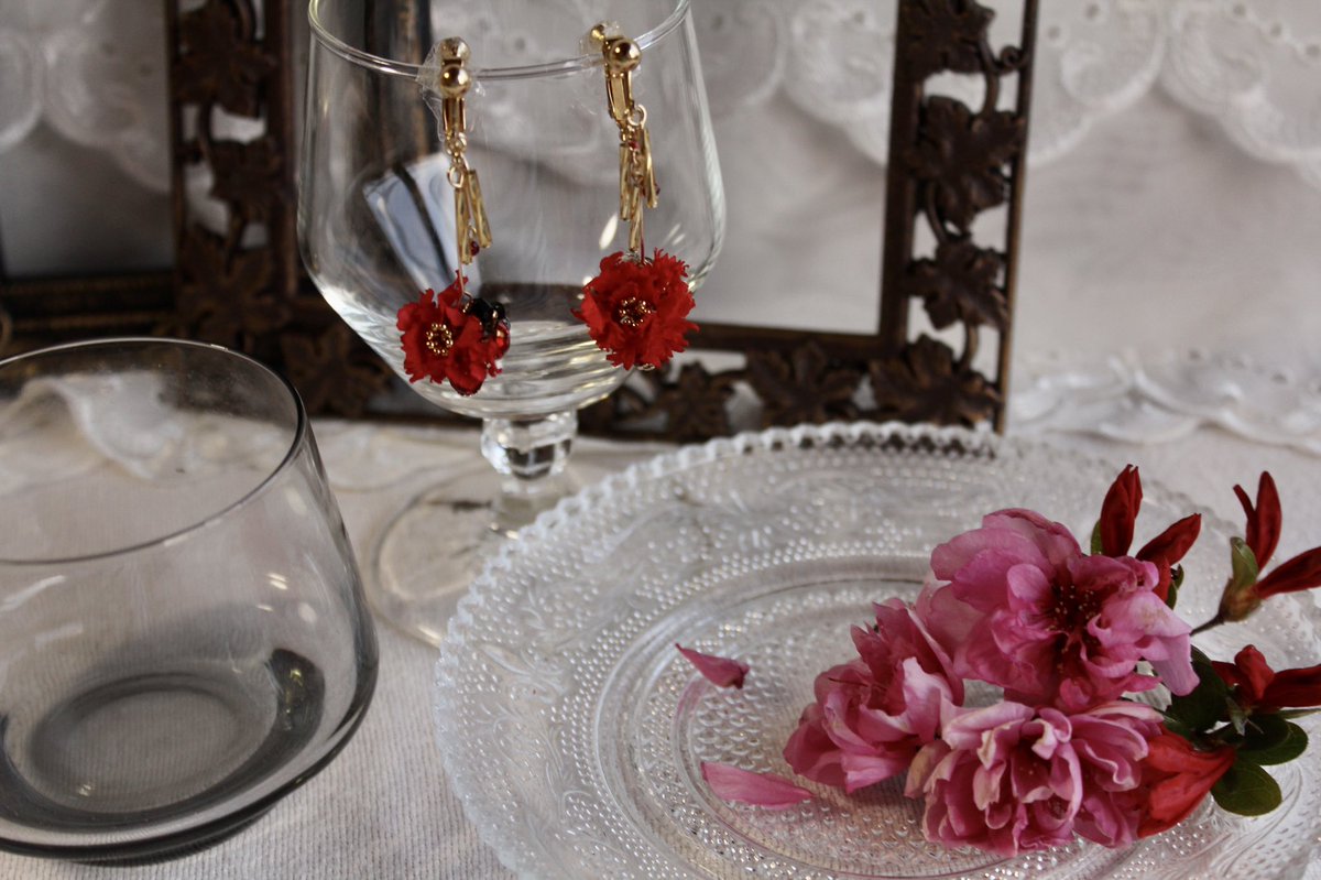 加州 بحث في تويتر