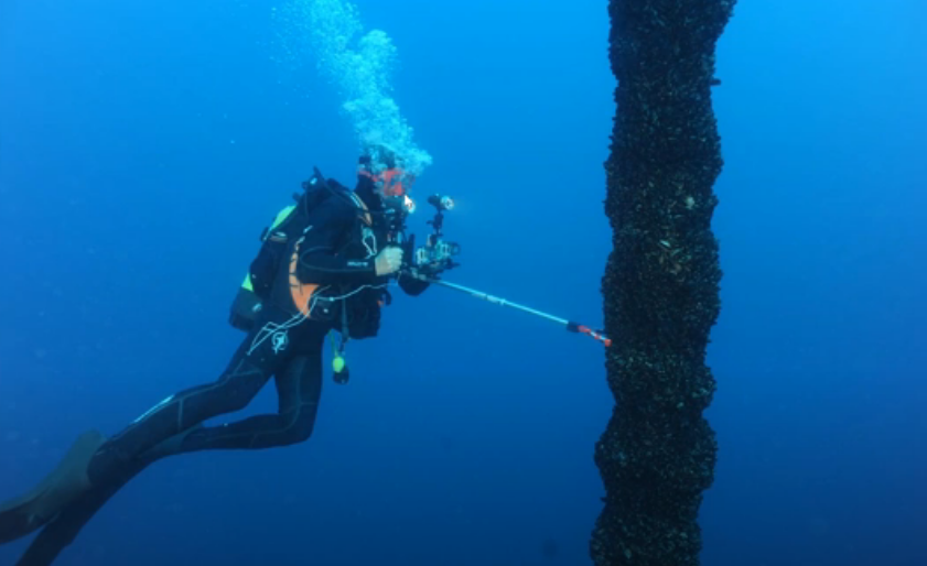 PONTOS MARINE (@servicesuhc) on Twitter photo Le projet <a href="/GloFouling/">GloFouling Partnerships</a> recherche à étoffer son groupe d' experts ...
GloFouling Partnerships Project is seeking to increase its pool of experts to deliver work on a wide range of assignments.
glofouling.imo.org/announcements Le projet <a href="/GloFouling/">GloFouling Partnerships</a> recherche à étoffer son groupe d' experts ...
GloFouling Partnerships Project is seeking to increase its pool of experts to deliver work on a wide range of assignments.
glofouling.imo.org/announcements