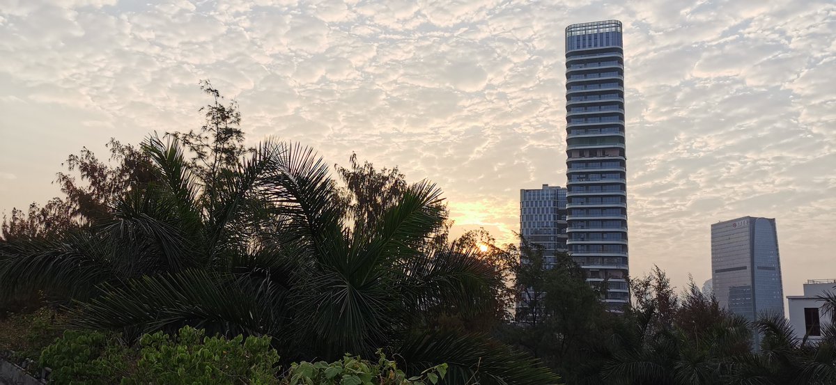 sampson_HPet's tweet image. Sun rise!