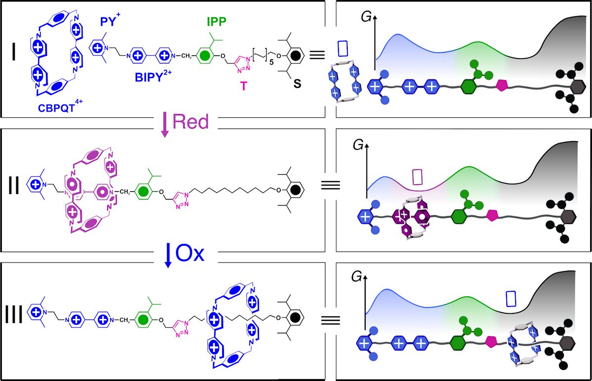 TheLoudestChris's tweet photo. @sirfrasersays @YuanningFeng @J_A_C_S @NUChemistry @IINanoNU @kim_dongjun @UNSW @_Marcqko_ @FeringaLab @DeanAstumian @UMaine It has been a privilege working with so many great chemists writing my first publication for @J_A_C_S. Big thanks go to @kim_dongjun, @DeanAstumian, @YuanningFeng, @_Marcqko_ Jim Seale and  @sirfrasersays for the opportunity. @UNSW @UNSWScience https://t.co/1V9C5KAdy5