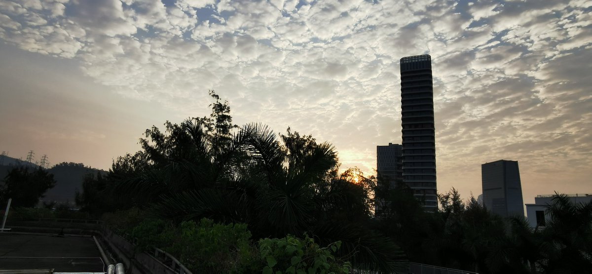 sampson_HPet's tweet image. Sun rise!