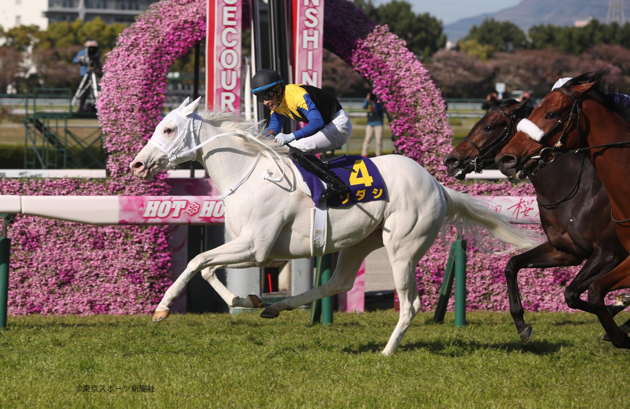تويتر 東スポ競馬 على تويتر 駆け抜けた ソダシ 桜花賞 競馬 T Co Zu3hko3tlz