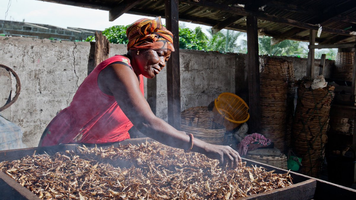 Empower a woman, feed a nation.

The role of rural women is crucial to continue to grow food for the world during and after the #COVID19 pandemic.

#InvestInRuralWomen, invest in resilience