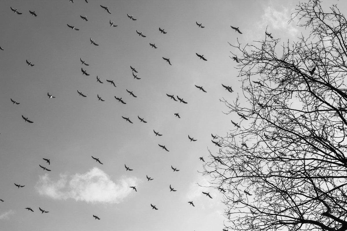 Derin üzüntüler, büyük sevinçler, zorlu günler. Her şey gelip geçer, geriye sadece tavrımız kalır.