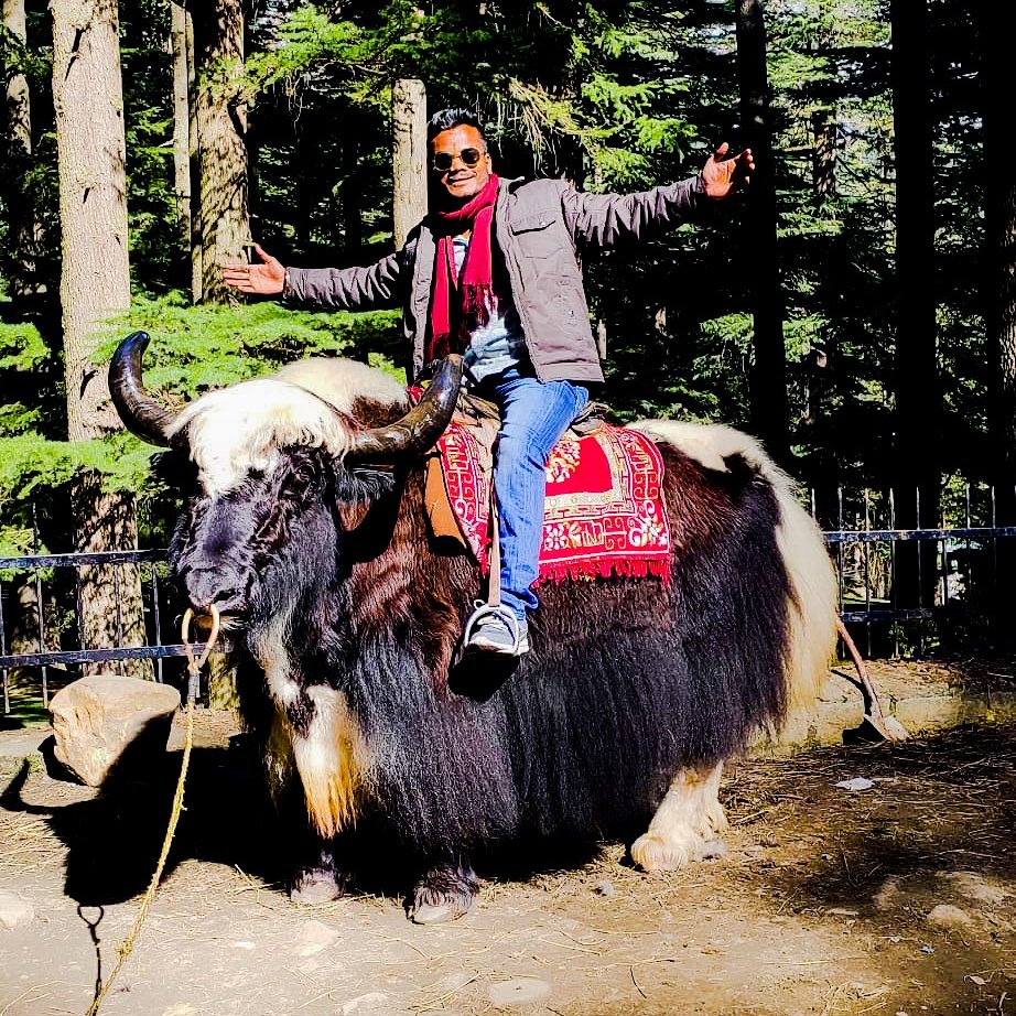devendra211196's tweet photo. #NewProfilePic https://t.co/ocyedmZF6X
