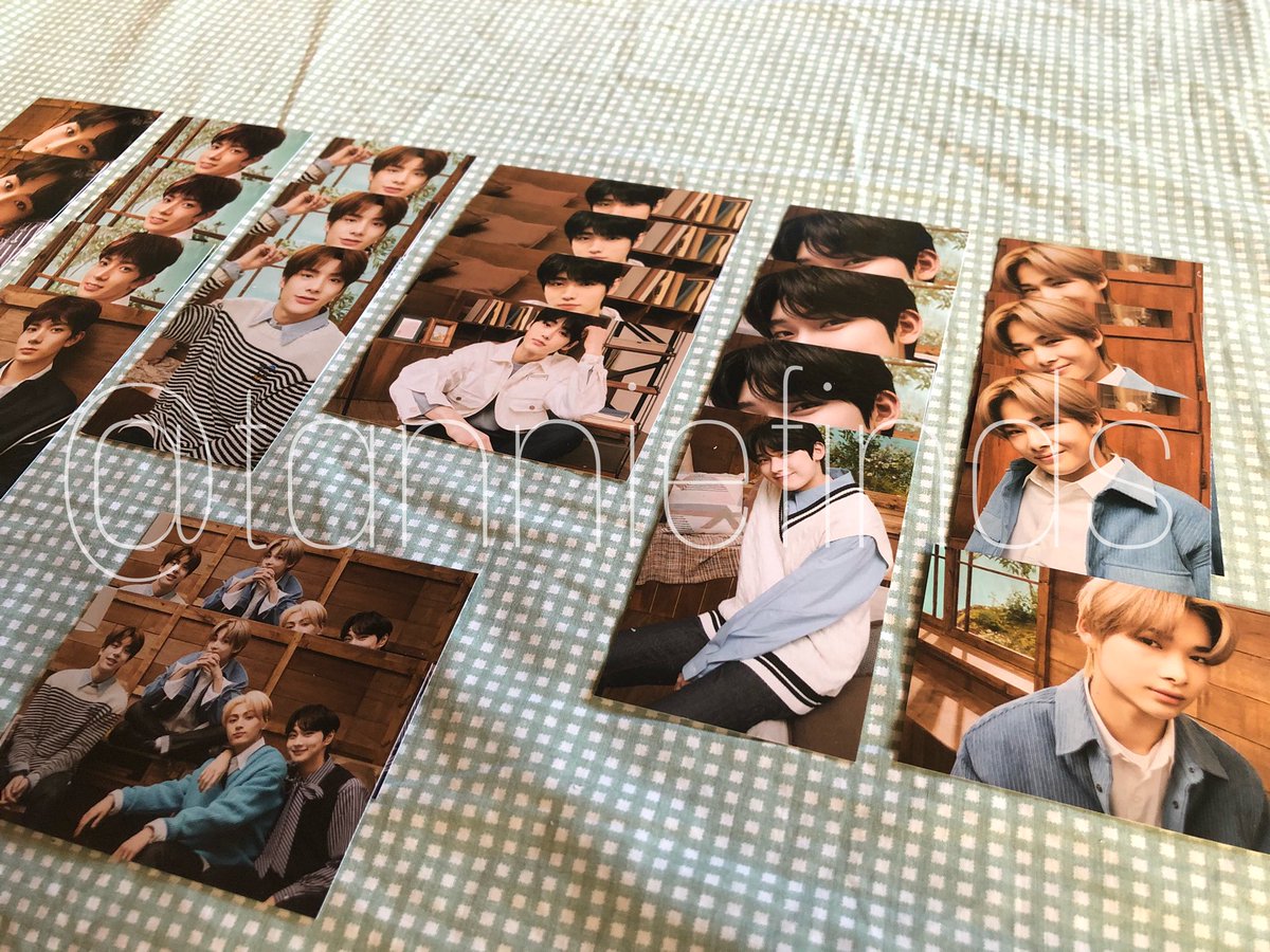 ic / interest checkonhand enhypen en-connect trading cards — basic ver. 100p each— jay special tc. 120p jungwon heeseung jay jake sunghoon sunoo ni-ki ph only