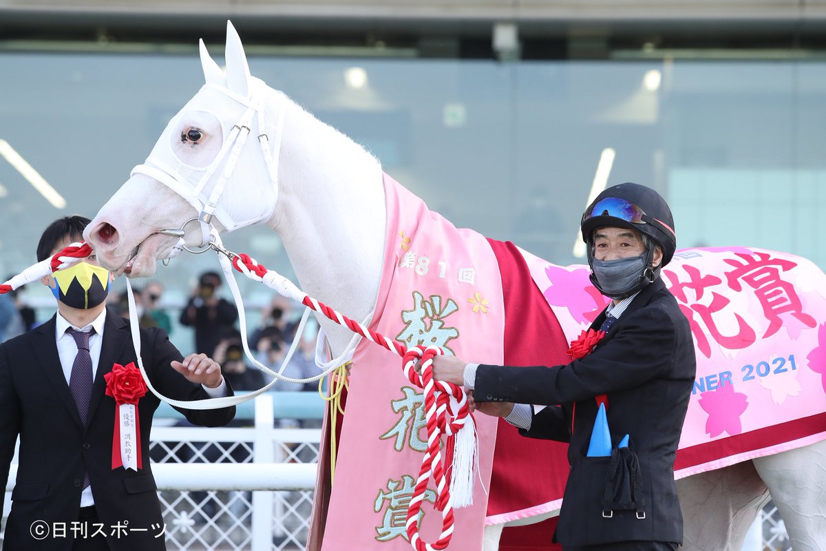 主にシラユキヒメ一族 Min T ミント 主にシラユキヒメ一族 Min T ミント