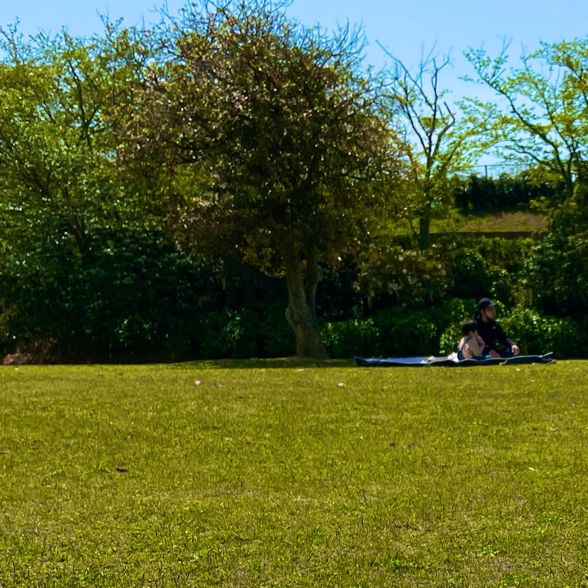 今日は家族でお弁当持って軽くピクニックへ🥪

お日様が気持ちいい〜🌞

すでに腕時計焼け⌚︎してたので、日焼け対策お忘れなく🚨