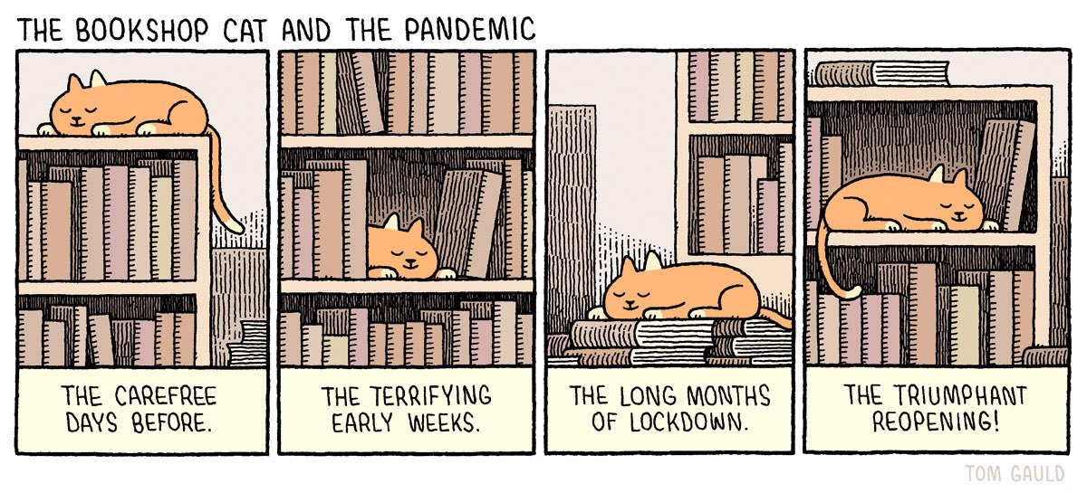 ‘The bookshop cat and the pandemic’. My cartoon for yesterday’s <a href="/guardianreview/">Guardian Review</a>.
