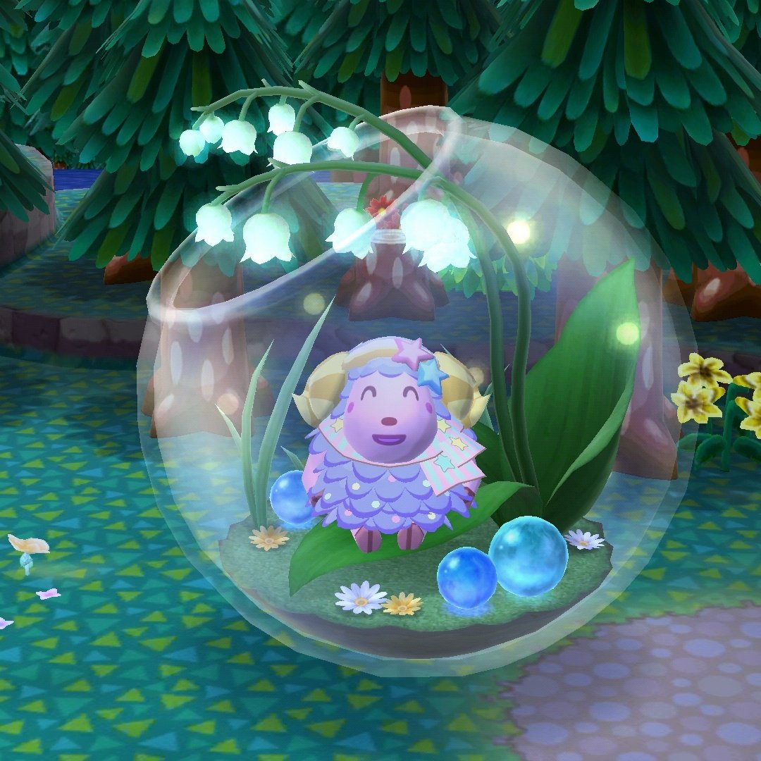 Pixie_ACPC's tweet photo. She's adorable 🌟 #ACPCgallery https://t.co/OWo4Ow8LQo