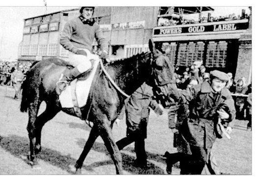 DreaperRacing's tweet photo. We were so sorry to hear of the passing of Gerry Dowd. Gerry worked with us at Greenogue for many years and partnered Brown Lad to win the 1978 Irish Grand National at @Fairyhouse. He also rode in the legends race at @BellewstownRace in aid of the Arkle memorial statue in 2011. https://t.co/hA83fSKyOH