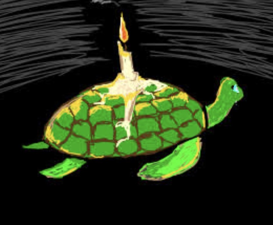 Turistik yerlerde çocuklara sözde hayvan sevgisi aşılamak için kaplumbağalar boyanıyor. Kabuk canlıdır,güneş enerjisini vitamini çevirir. Boyanırsa kabuk içten çöker ölümüne neden olur.Üzerine mum koyanlar var. Yapmayın...
Çocuklara kötü örnekler göstermeyin.#kaplumbağa