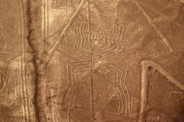 cruisecoleman's tweet photo. Situated in the Peruvian coastal plain about 250-miles south of Lima Peru is a collection of enormous geoglyphs called the Nazca lines. The designs are etched into the desert sands covering an area of nearly 1,000 sq. kilometers.
#peru #visitperu #visitlima #perulife #travelperu https://t.co/KP98B0mqE3