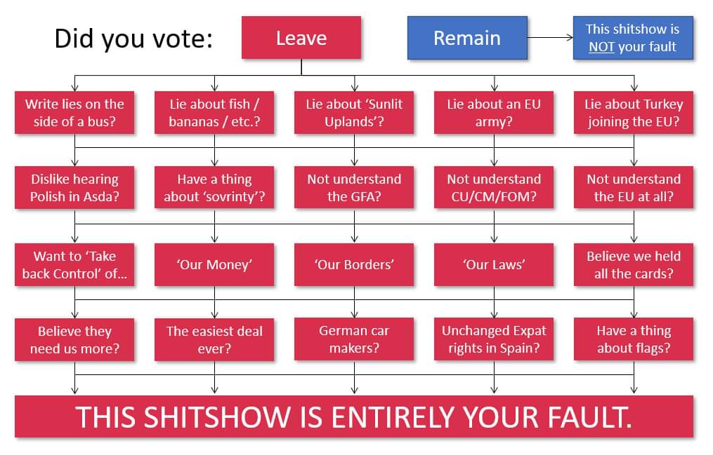 ReJoinTheEU2's tweet photo. A useful #Brexit flowchart https://t.co/P95WLyzq2g