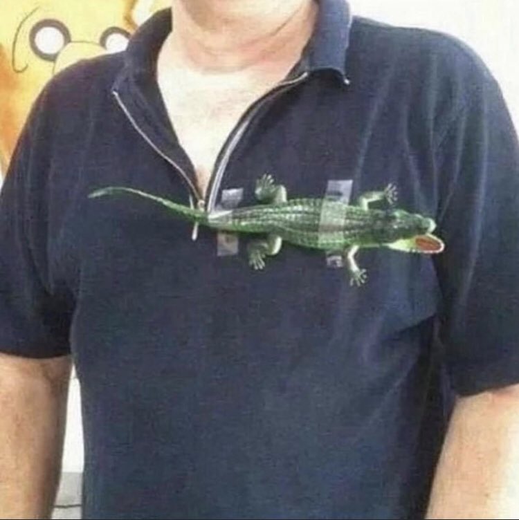 Plante træer evigt duft Just me init on Twitter: "@man_savings Looking for this genuine fake  Lacoste polo shirt @cann_olly what do you think https://t.co/9N99fEIn2q" /  Twitter
