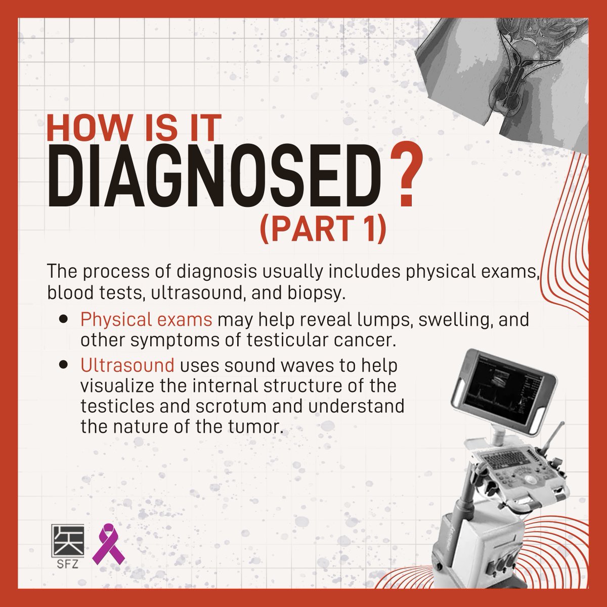 project_sfz's tweet photo. In commemoration of Testicular Cancer Awareness Month this April, here's Part 2: Symptoms and Diagnosis of Testicular Cancer! Project SFZ hopes to raise awareness and push towards its prevention, early detection, and treatment. https://t.co/a2N13V0o3Q