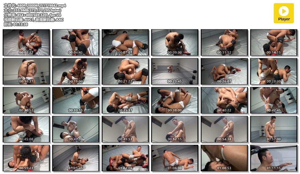 肉熊爱摔跤 tweet media