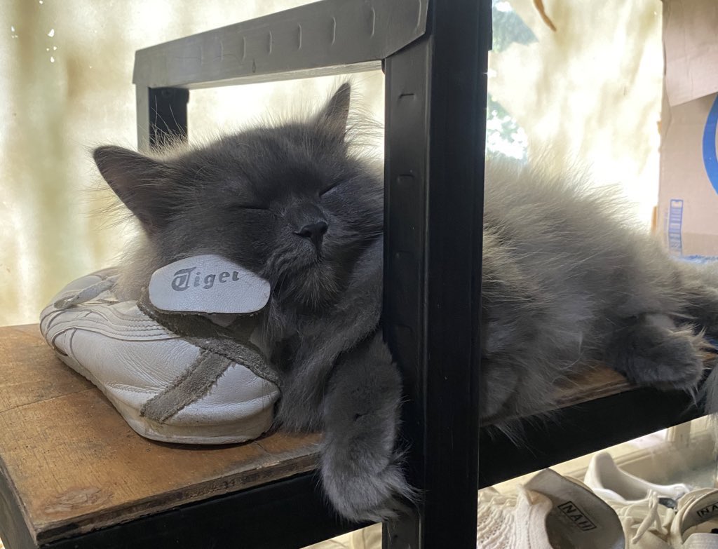 fuck you world. im gonna sleep.