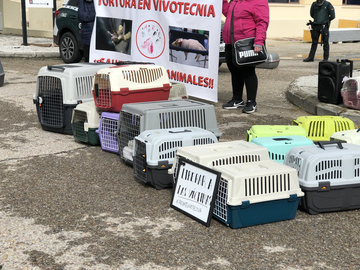PartidoPACMA's tweet photo. ‼️ Estamos de nuevo en Vivotecnia exigiendo su cierre y el traslado de los animales a un lugar seguro. 

Desde PACMA vamos a denunciar a este laboratorio. Estad muy pendientes de nuestras redes porque os iremos informando y conectando en directo. https://t.co/tqkRyUlcFN
