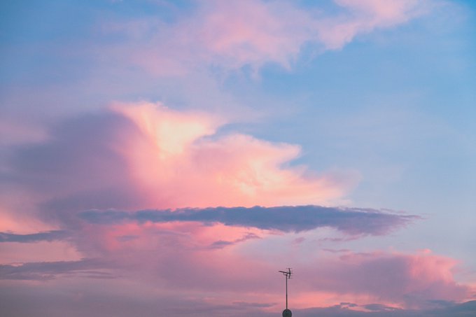 アスファルトに咲いてる花好き 雨上がりの虹好き ファッション対決で最下位のジャニーズ好き